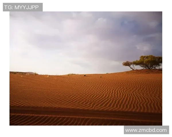 南非与纳米比亚激战正酣谁能在这场较量中脱颖而出 南非与纳米比亚激战正酣谁能在这场较量中脱颖而出