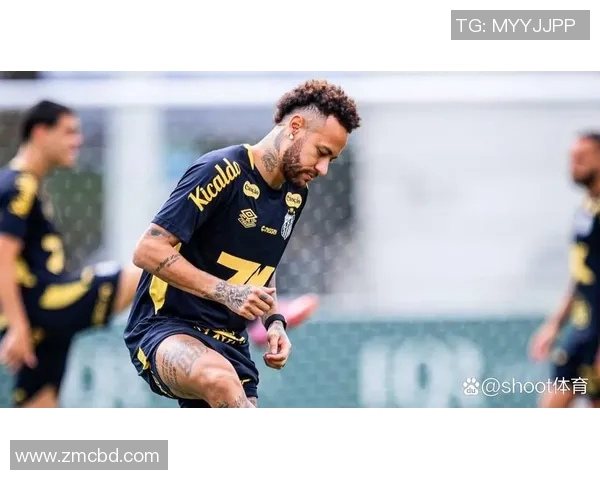 巴国际对阵帕尔梅精彩直播全程回顾与赛后分析