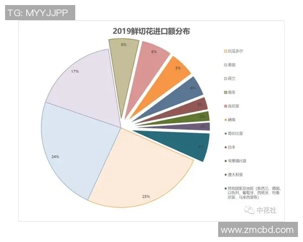荷兰与智利比赛数据分析及关键统计信息全面解读
