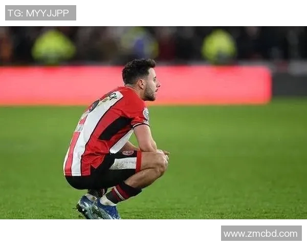 谢菲联与维岗的激烈对决谁能在英超赛场上笑到最后